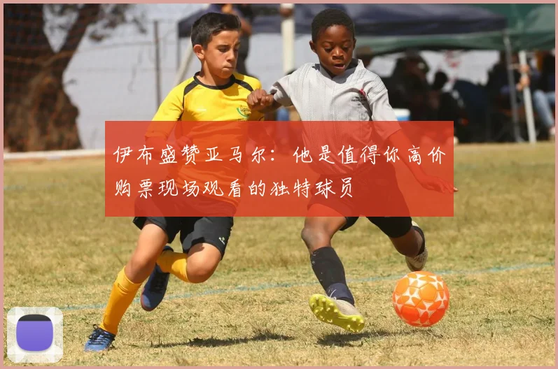 伊布盛赞亚马尔：他是值得你高价购票现场观看的独特球员